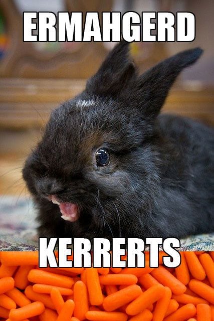 Happy Bunny