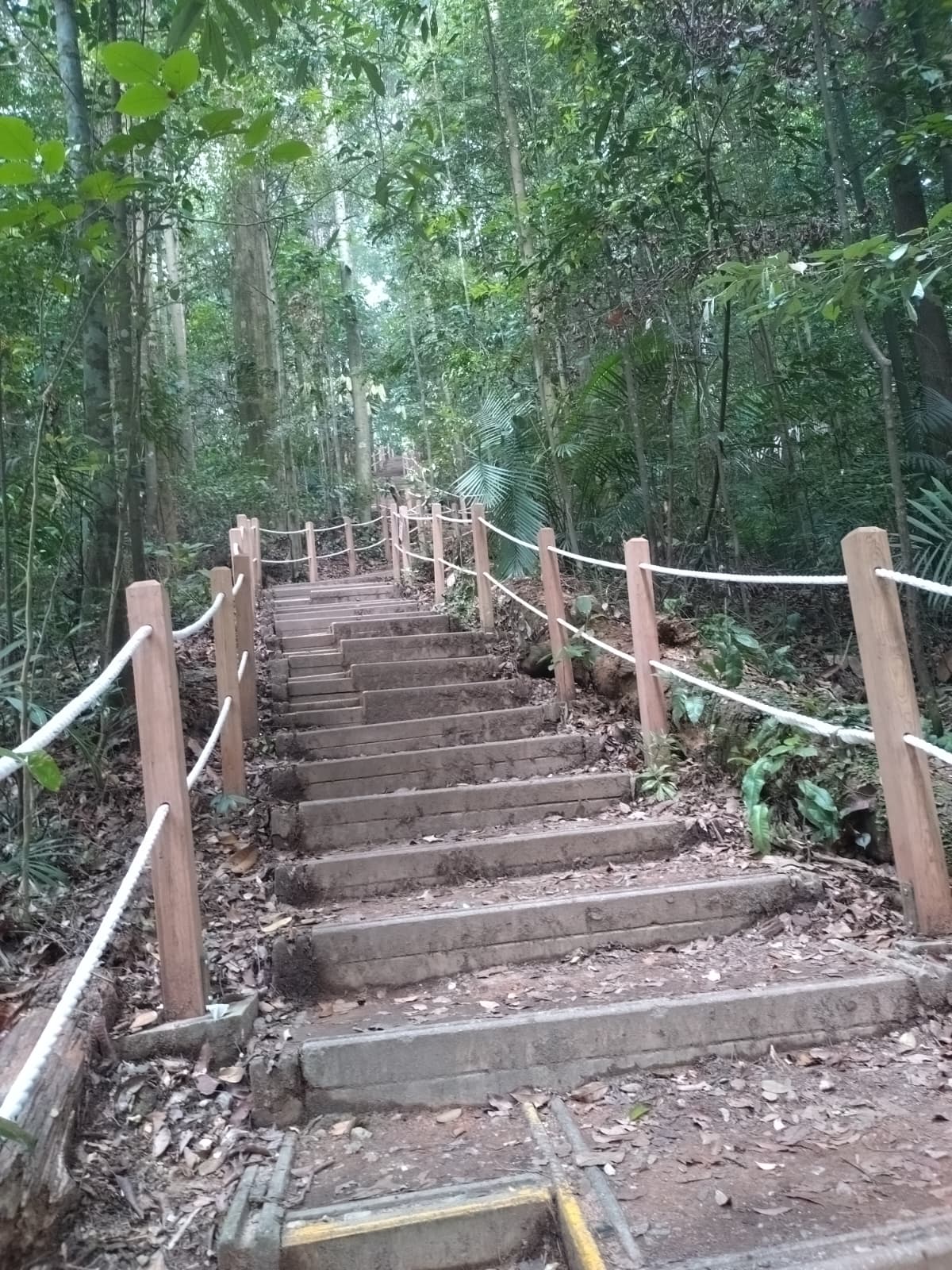 The Stairs at Bukit Timah