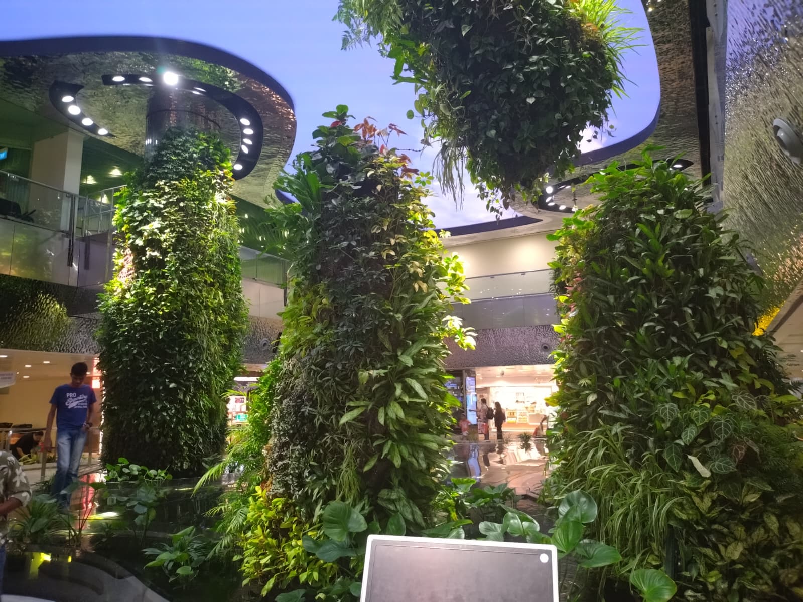 The Garden