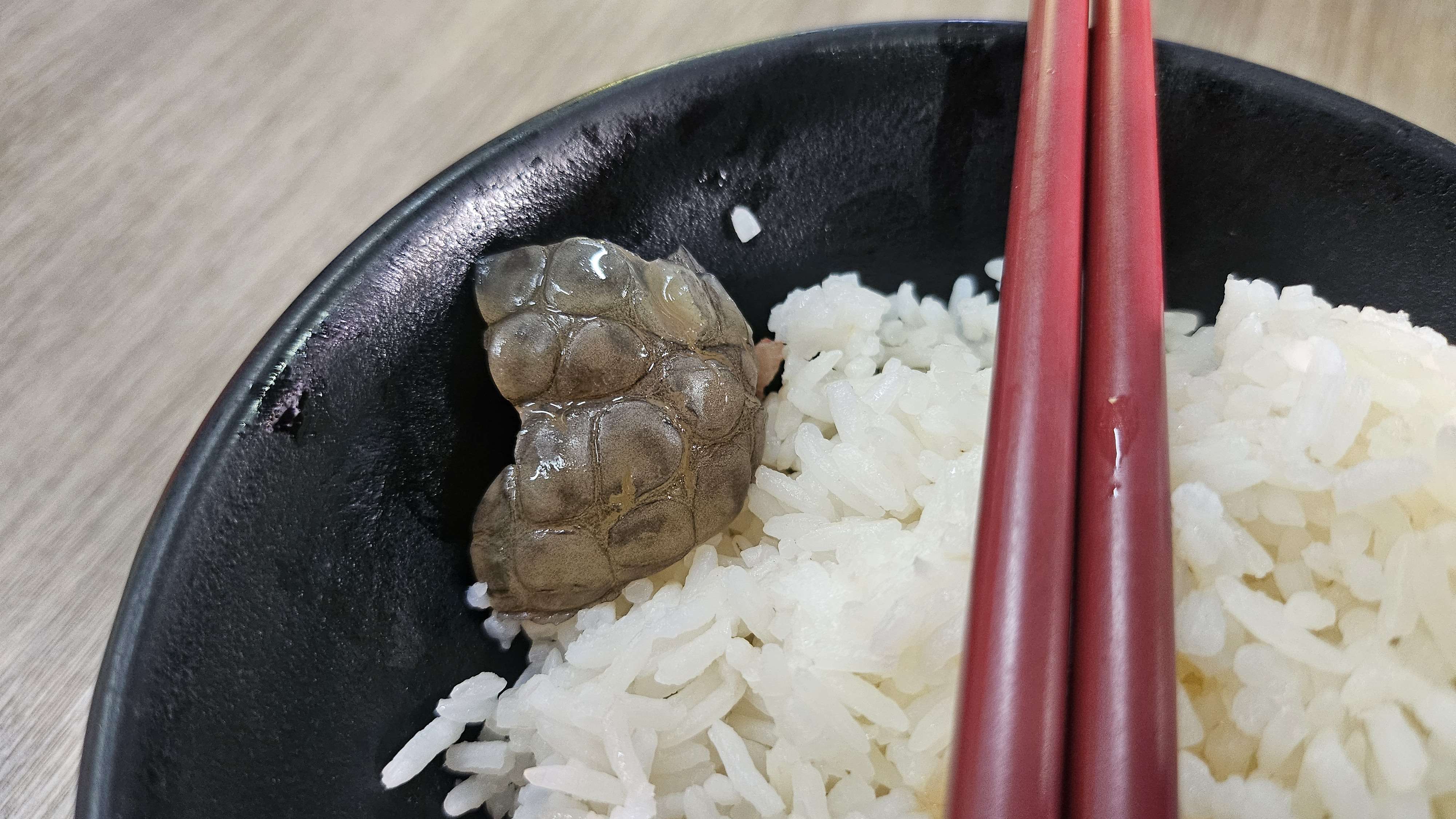 Crocodile meat