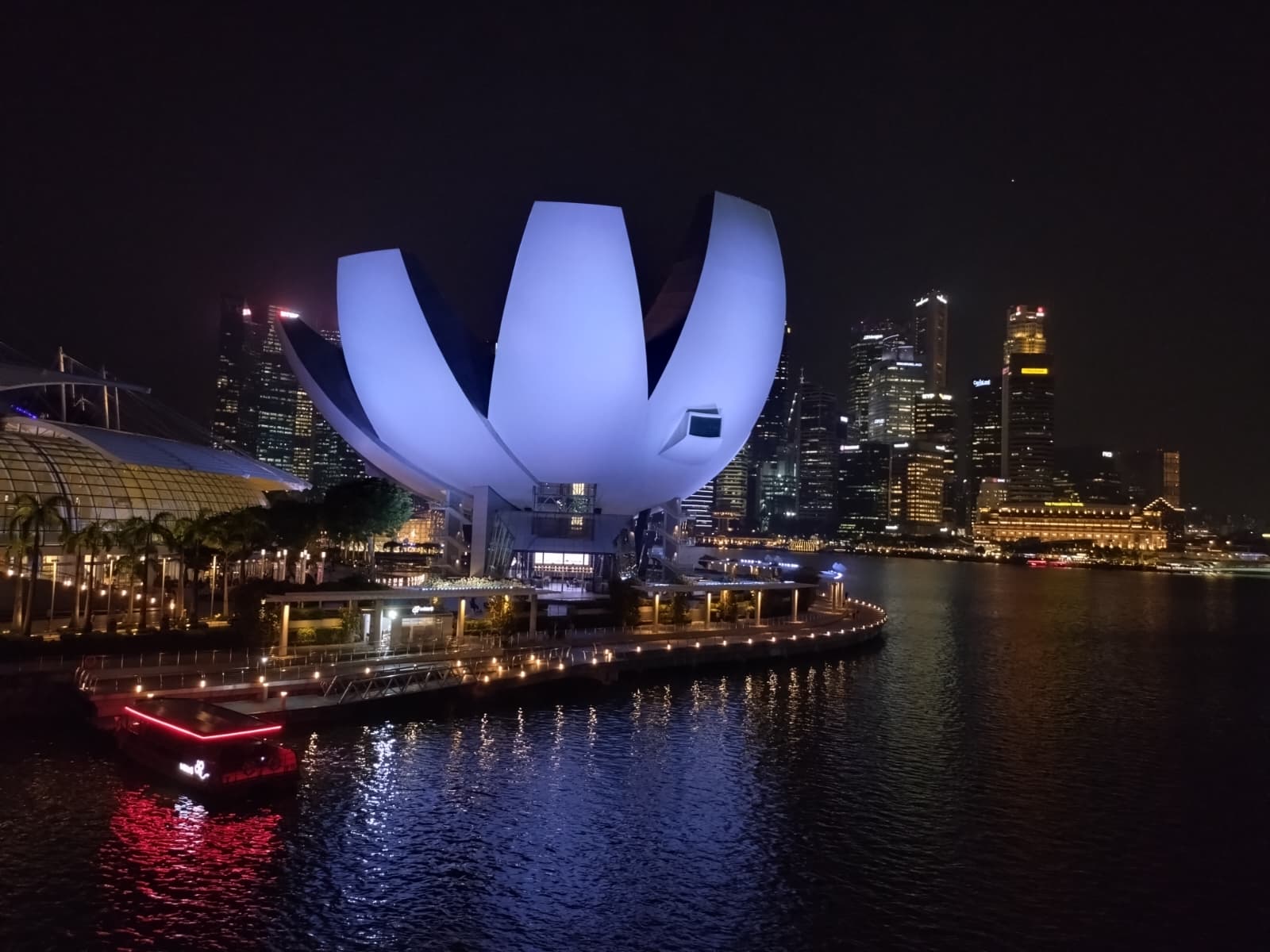 The Lotus