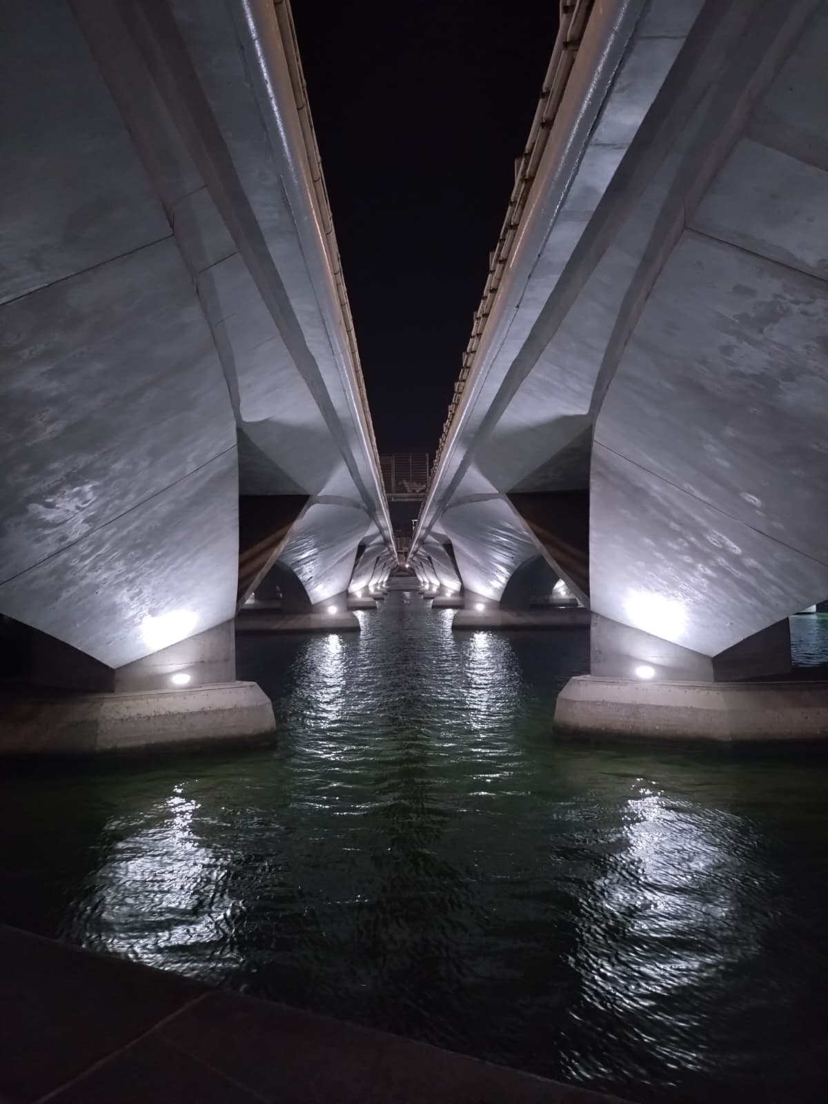 The Bridge