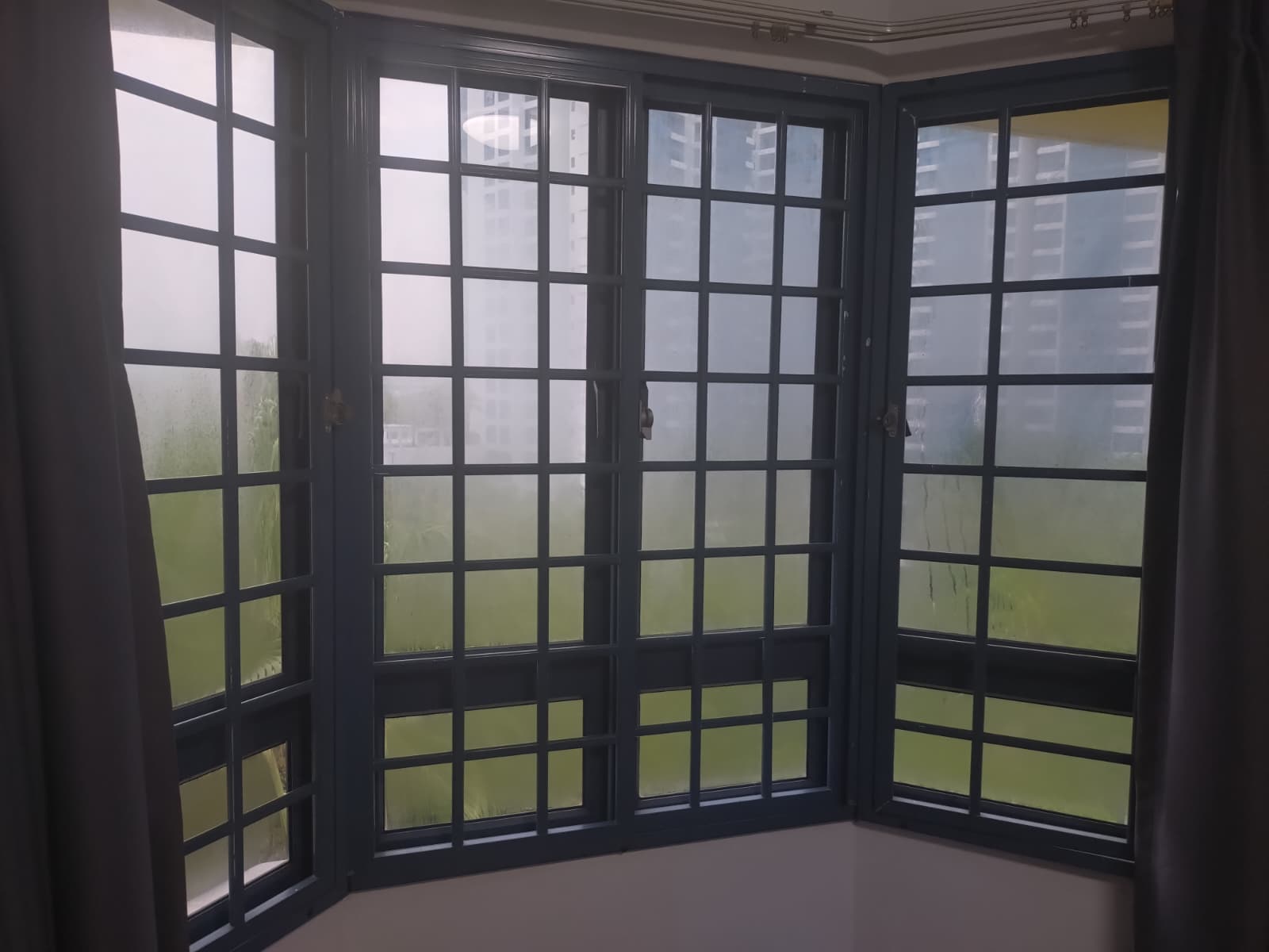 The Window